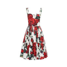 돌체앤가바나 여성 팝 로사 프린트 로사 뷔스티에 드레스 - Dolce&Gabbana Womens Pop Rosa Print Rossa Bustier Dress - doc15040x
