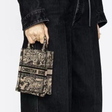 디올 여성 미니 카메라 백 - Dior Womens Mini Camera Bag - dib743x
