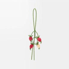 로에베 남/녀 토마토 가지 수지 참 - Loewe Unisex Tomato Eggplant Resin Charm - acc6450x